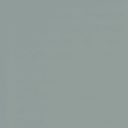 Zilver (RAL 9006)